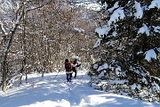41 In discesa dallo Zuc di Valbona  tracciamo su neve intatta